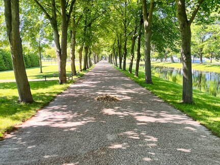 24-06-26 10-43-07 9918